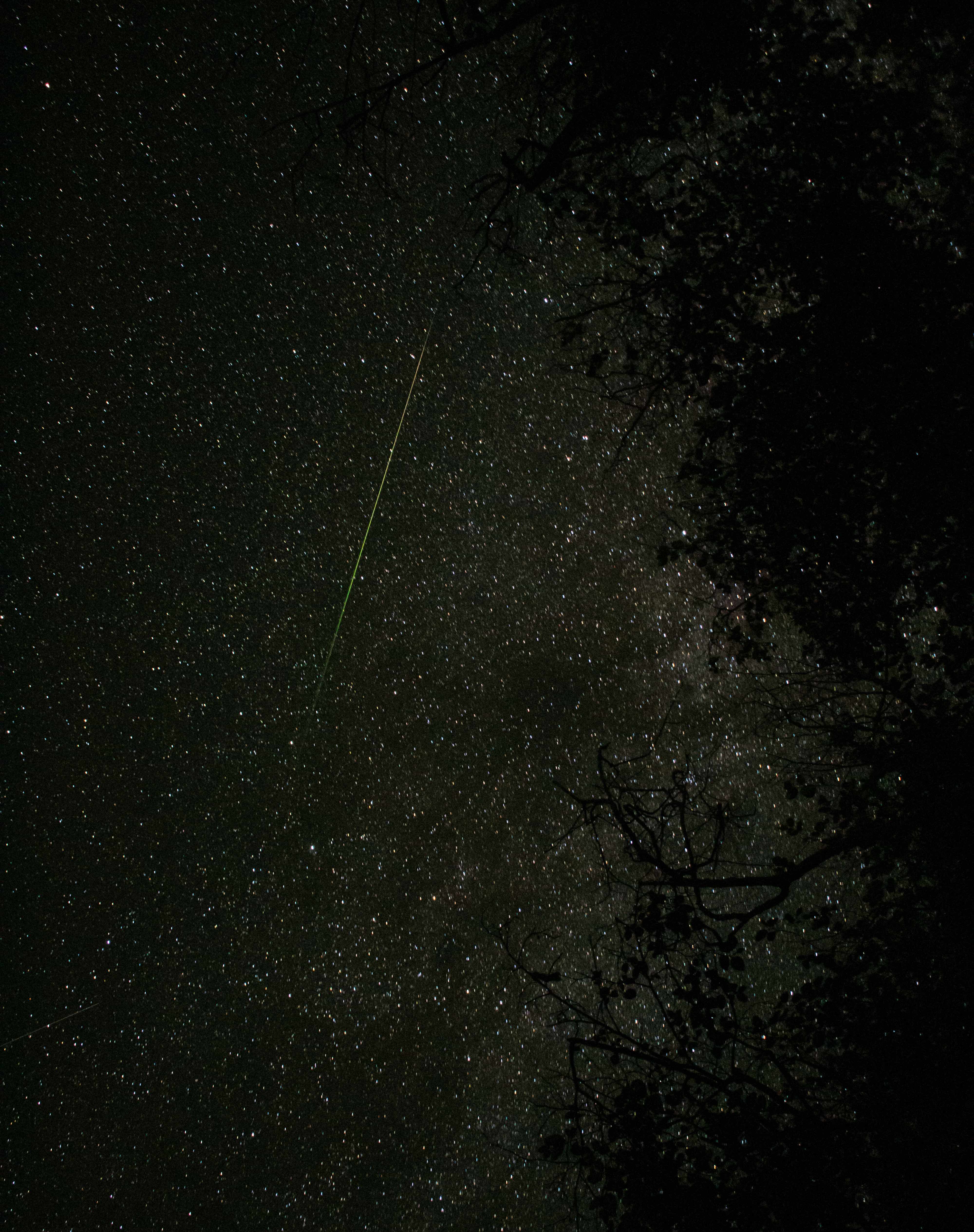 Perseids