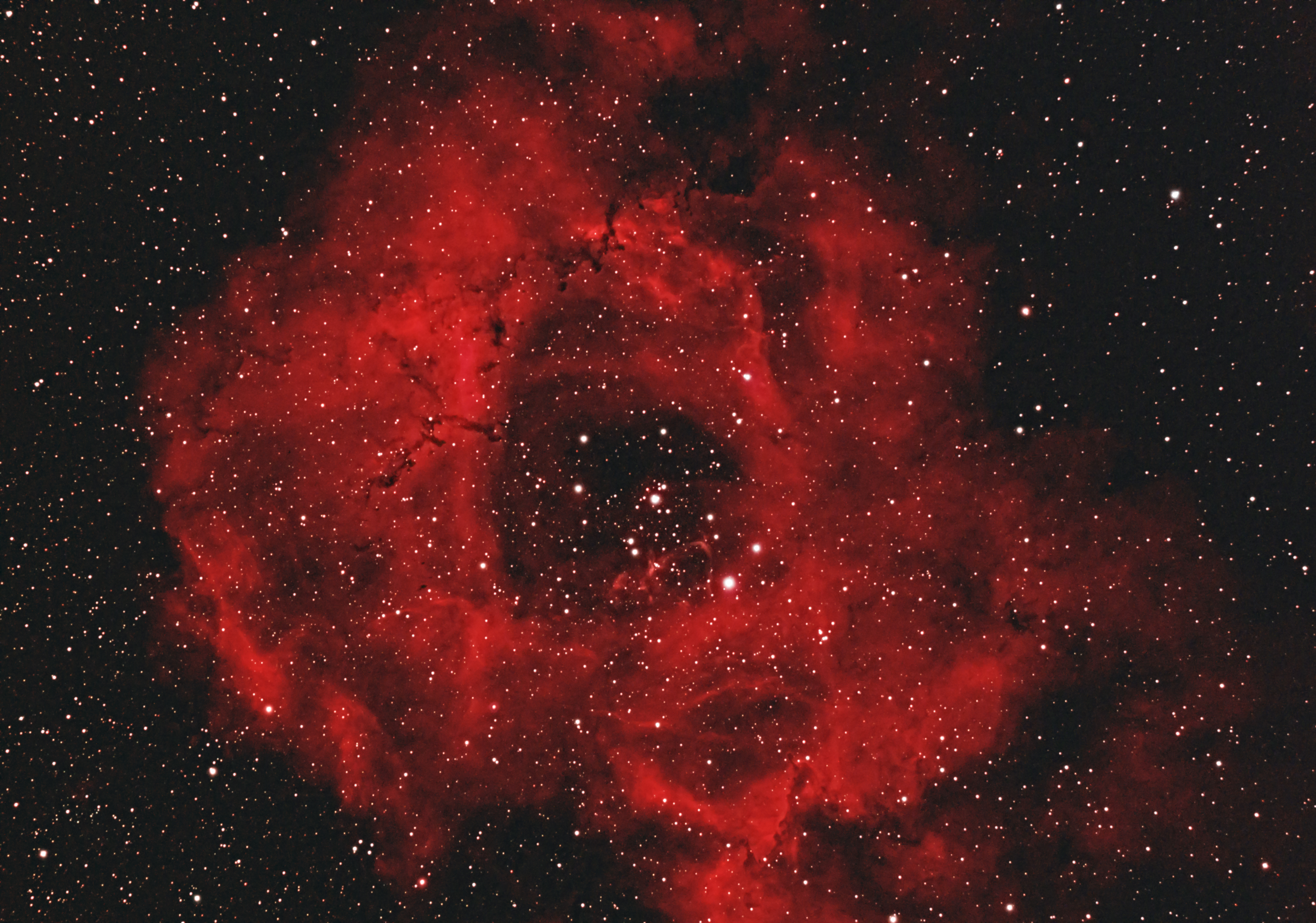 NGC 2244/C50 - Rosette Nebula