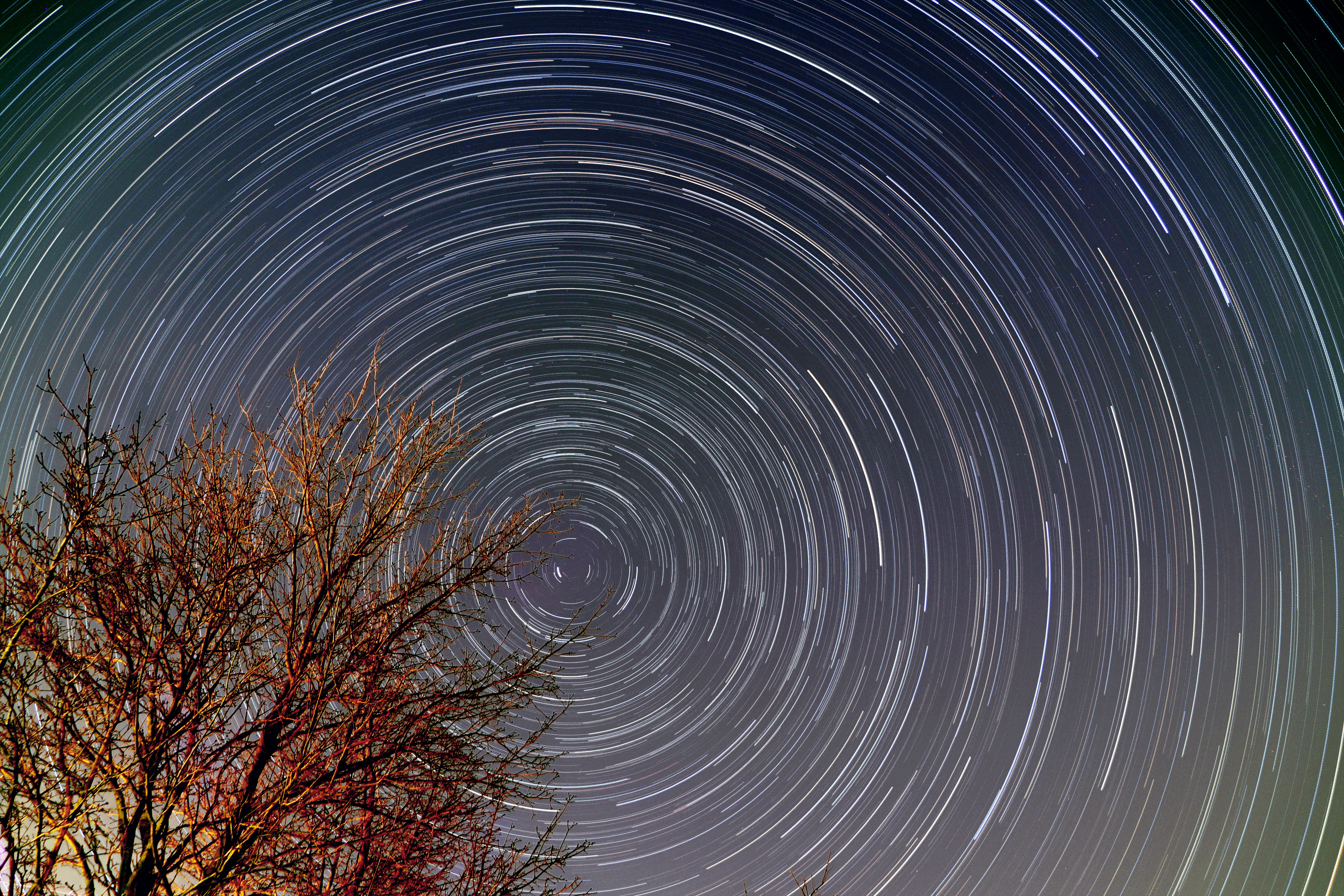 Star Trails Around the Celestial North Pole