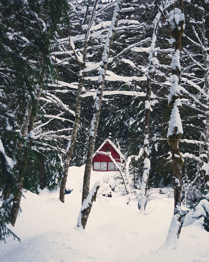 Winter Wonderland