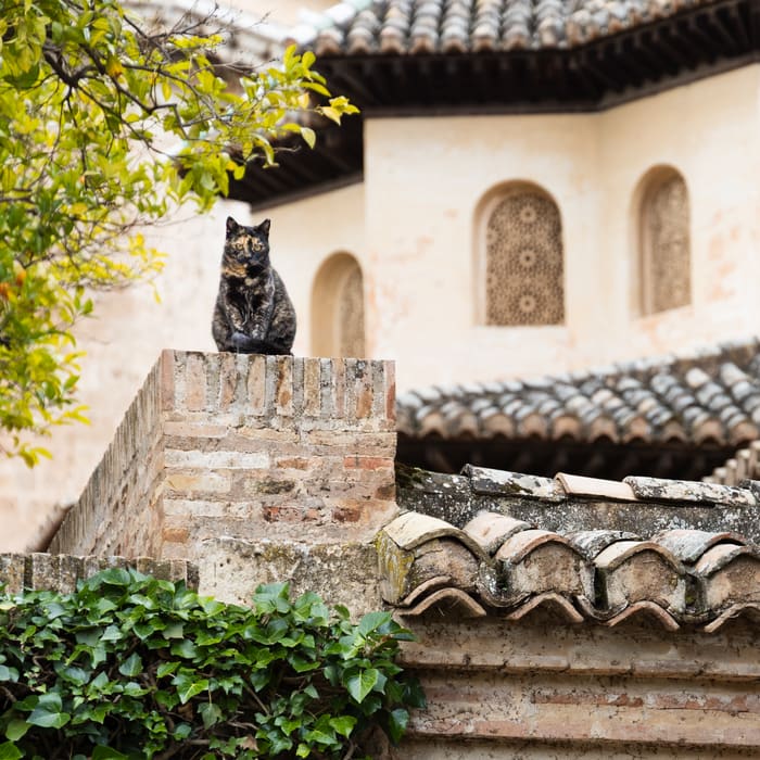 Spain
