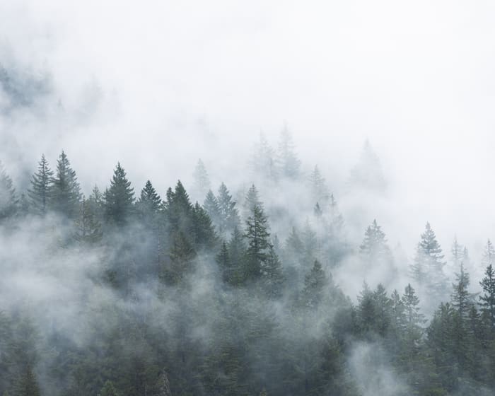 North Cascades National Park, Washington