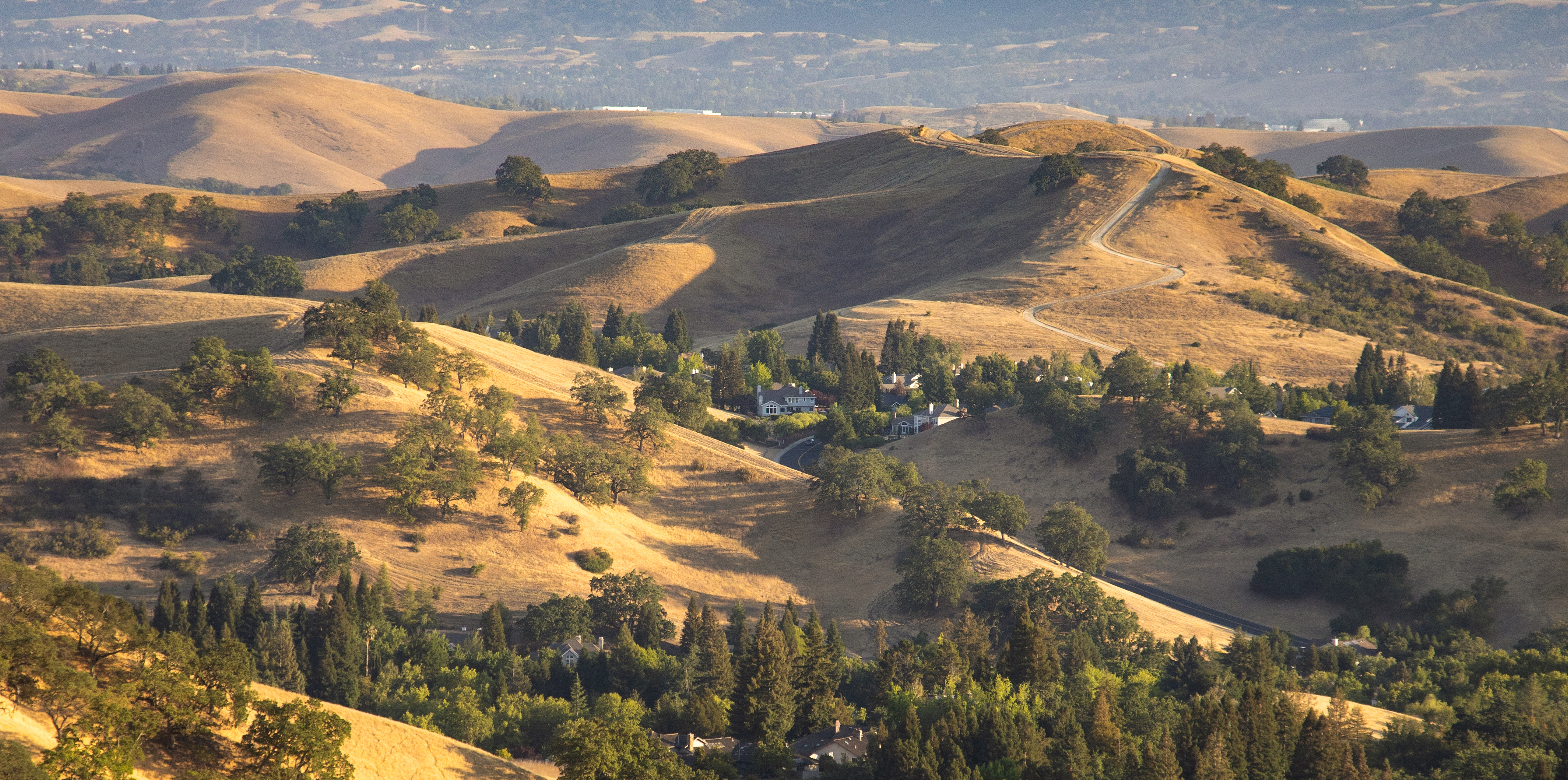 Rolling Hills of Northern California