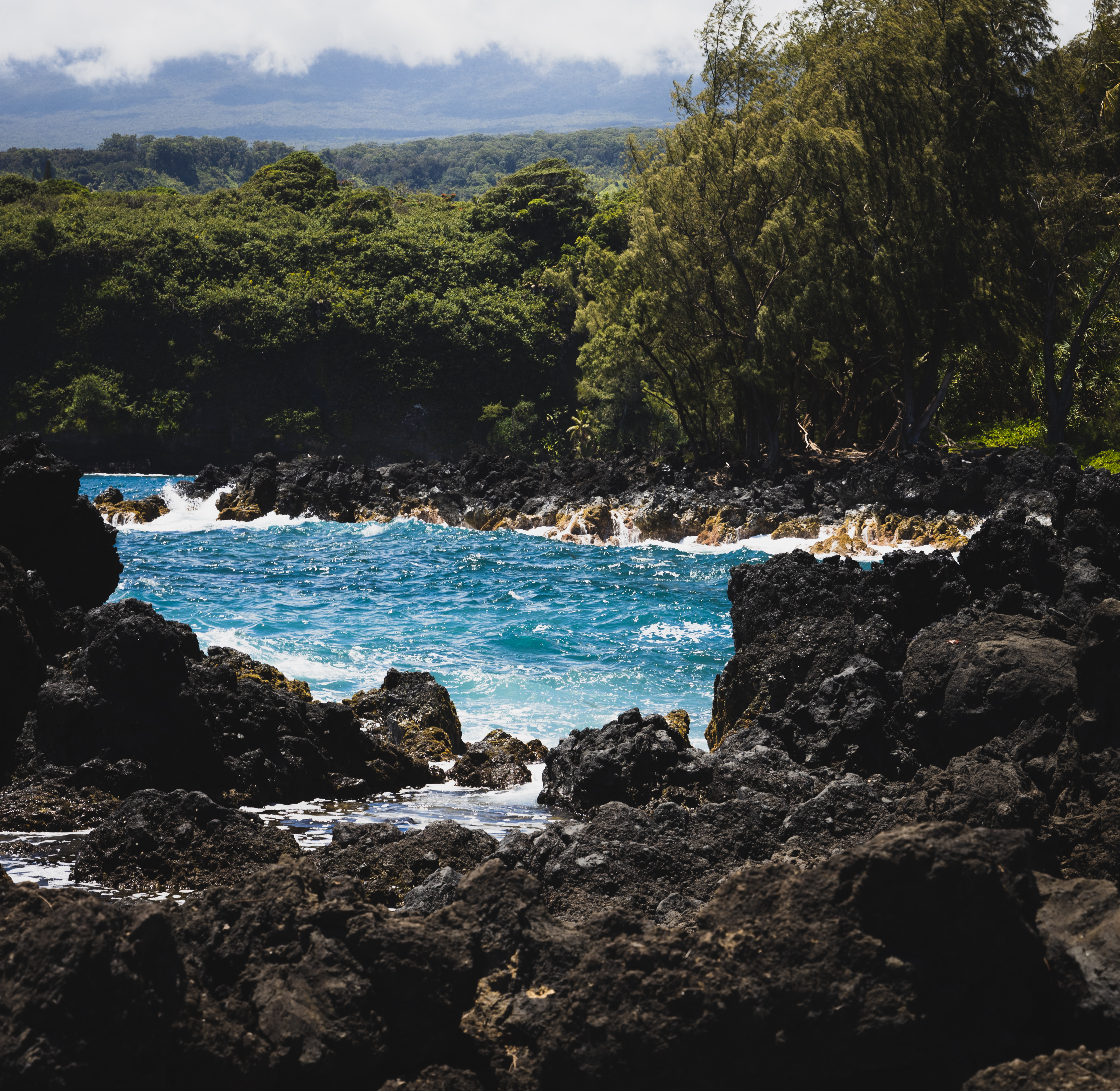 Hawaiian Coast