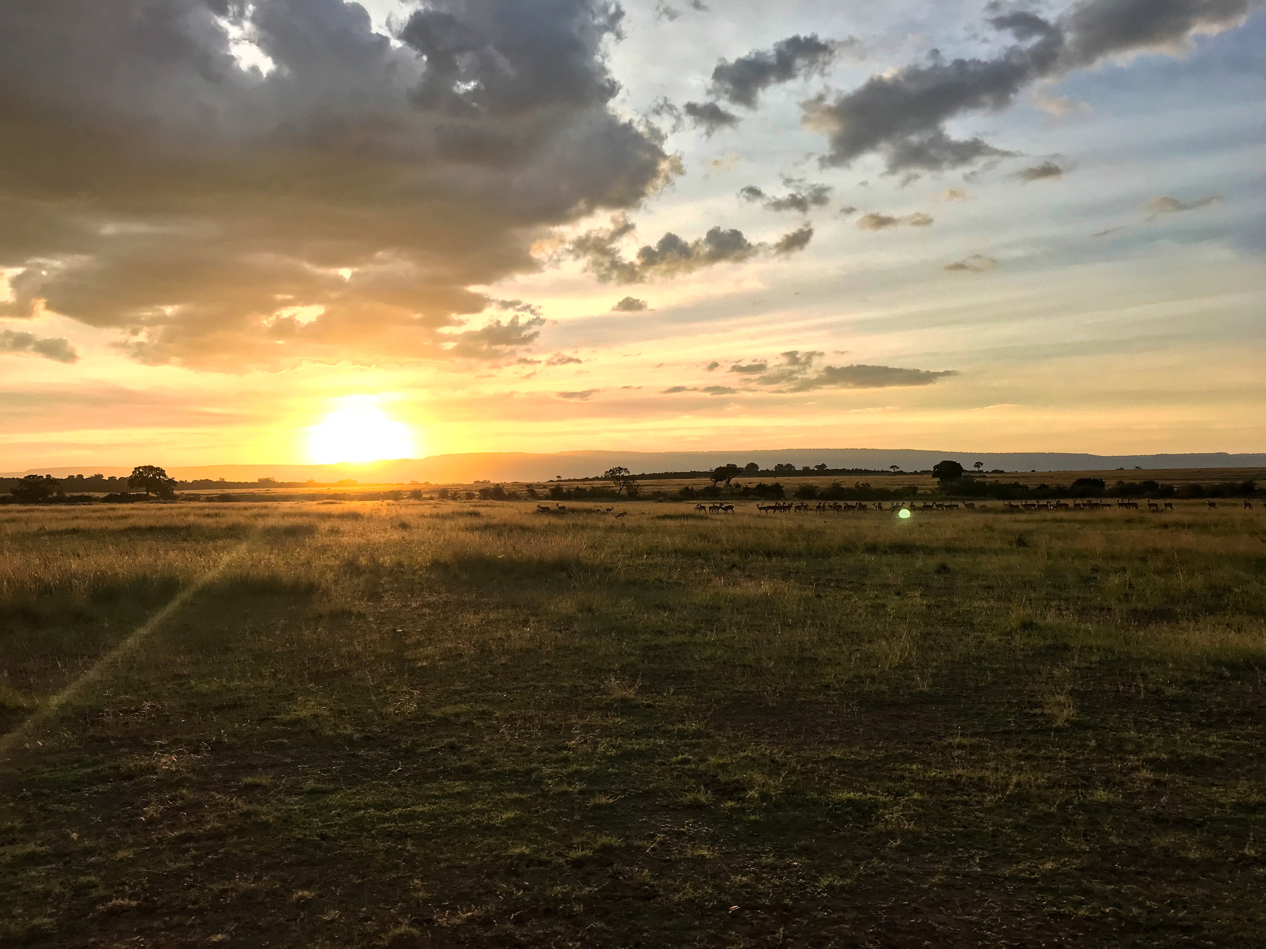 Sunset at Mara Serena