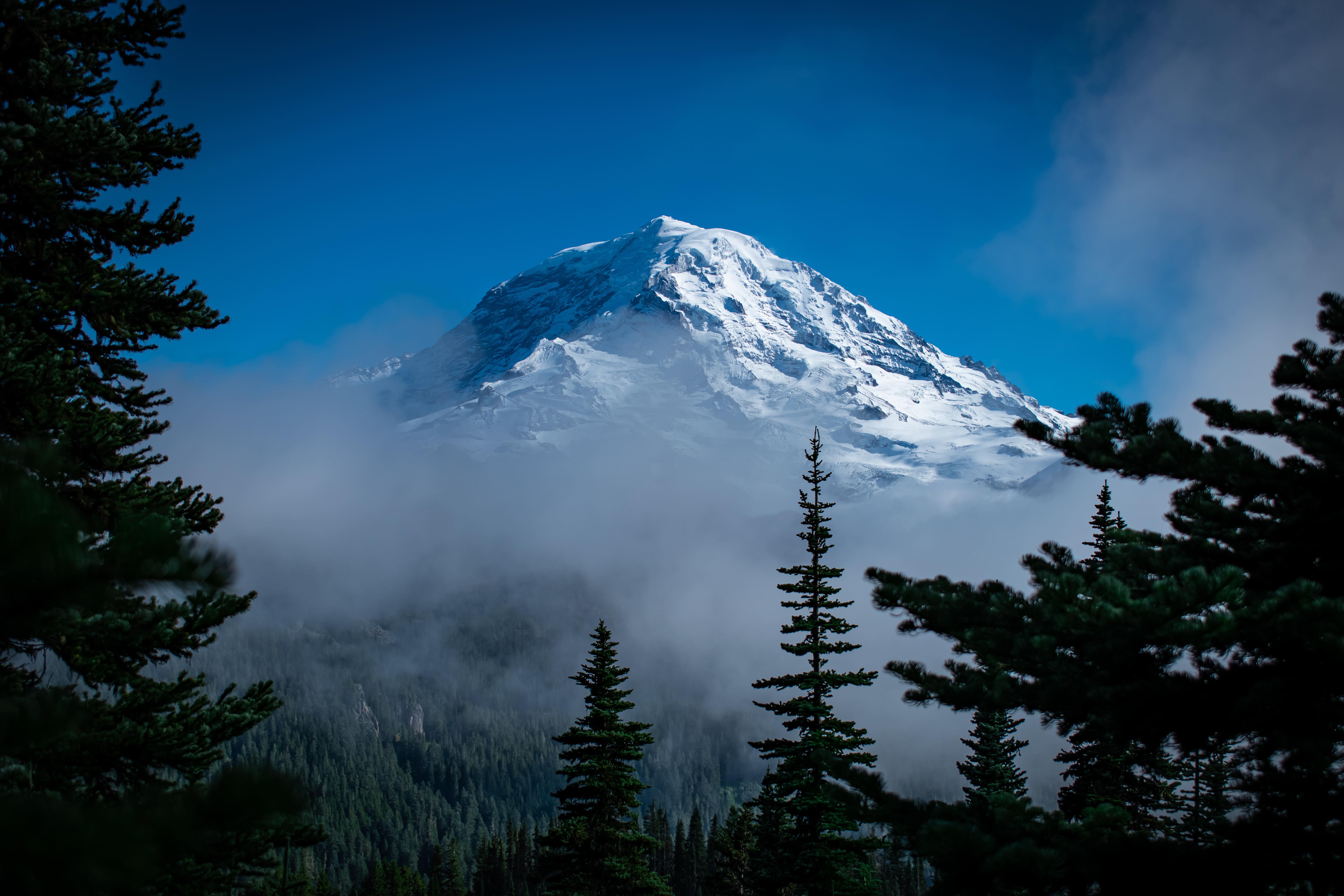 Mt. Rainier